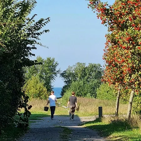 Blue On Idyllic Asko בית נופש מריבו