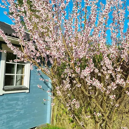 Casa vacanze Blue Cottage On Idyllic Asko Maribo